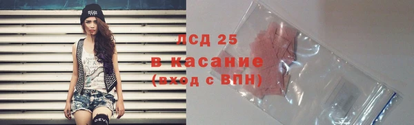 гашик Тайга