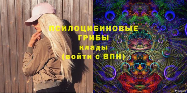 соль ск Белокуриха