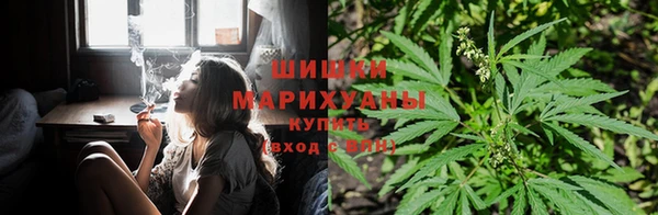 соль ск Белокуриха