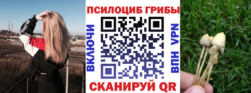 omg рабочий сайт  Ковдор  Псилоцибиновые грибы MAGIC MUSHROOMS  даркнет сайт 